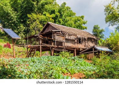 Homes On Stilts Stock Photos Images Photography Shutterstock