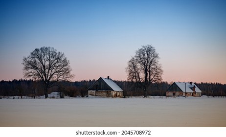 village houses in winter evening sunset light, snow covered field, some bare deciduous trees, purple blue sky