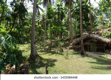 Village Hut In Bicol Philippines