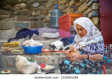 Sırınce Village / Izmir / Turkey, September 18, 2019, Sırınce Village In Cat Lover Old Woman