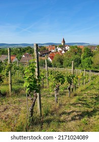 Village Of Korb And Vineyards, Near Stuttgart, Germany