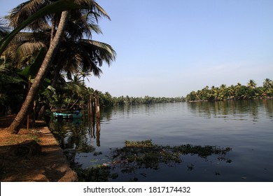 A Village In Kuttanad In Alappuzha District.,Kerala, India, Asia