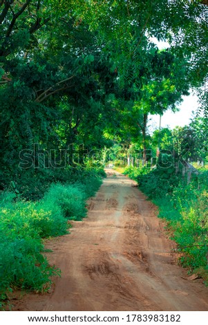 Village muddy pathways through woods