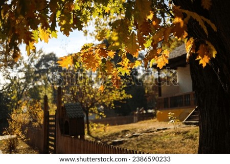 Village Museum in Bucharest. Beautiful autumn landscape with vintage looking old houses from Romania in this landmark museum from Bucharest.