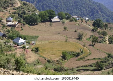 A Village On The Periphery  Of Fields Near Diana Park In Mandi District Of Himachal Pradesh India.