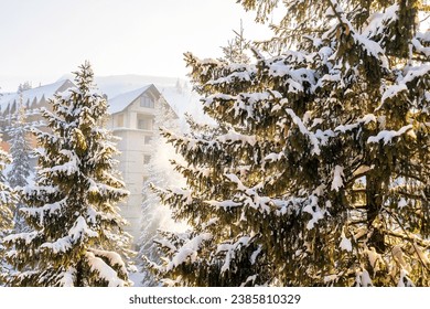 village rural house,mansion,hotel covered in snow in winter forest mountains,Green high spruce pine trees,nature. Calm countryside. Home residence in coniferous trees.Eco concept.