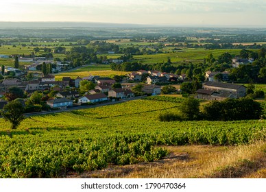 Village Of Saint-Lager In Beaujolais In The Rhône Department In France

