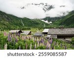 Village in the valley, chalet de miage, in the Alps, France (Tour du Mont Blanc)