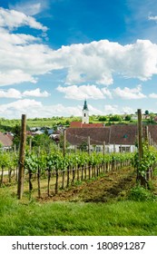 Village In Weinviertel