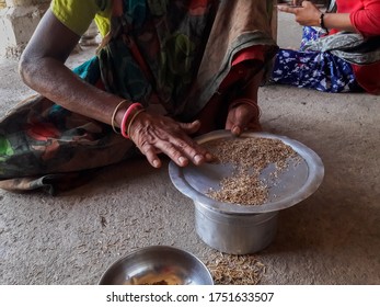 A Village Woman Is Cleaning Cumin