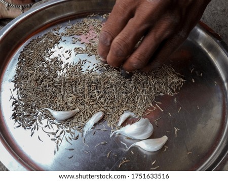 A village woman is cleaning cumin