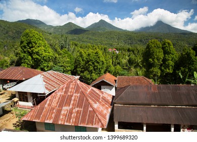 Forest Cabin Interior Stock Photos Images Photography