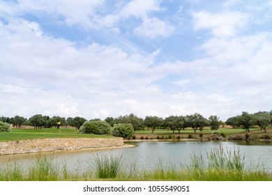 Villages Golf Panoramica, sand trap and golf course in the sunlight - Shutterstock ID 1055549051