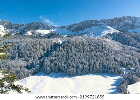 Villard-de-Lans Winter of 2021 Beautiful snow over beautiful mountains and trees in a very quiet and wild part of Vercors