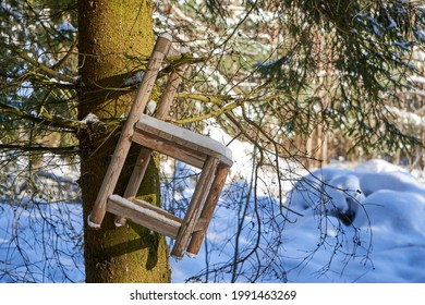 Vilnius, Lithuania - 02 16 2021: Chair Hanging On The Tree In Winter. Art Installation.