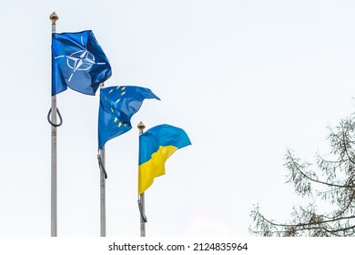 Vilnius, Lithuania - February 16 2022: Flag of NATO, North Atlantic Treaty Organization, European Union and of Ukraine waving together in the white sky with branches of a tree