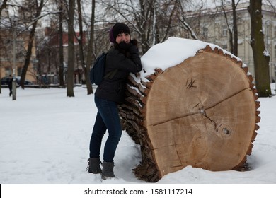 Vilnius / Lithuania - March 13, 2013. Trunk Of Huge Tree Lay Cut Down In The Park Right Beside Of Great Duke Gediminas Castle Mound.  Camera Canon 5D.