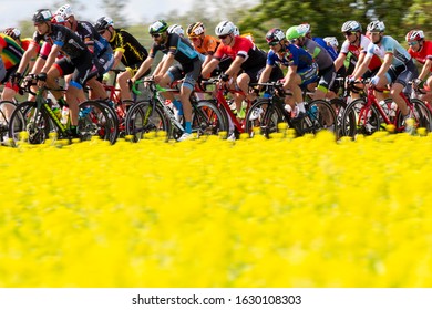 Vilnius/Lithuania June 23, 2019
The UCI Road World Championships Men's Elite Race. 