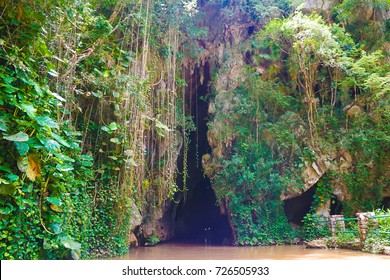 Vinales Caves In Cuba