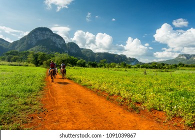 Vinales, Cuba. Horse Riding