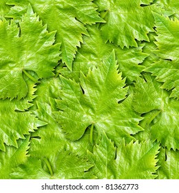 Vine leafs seamless background - texture pattern for continuous replicate.