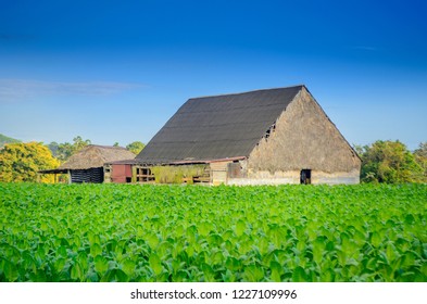 Vineales, Rural Cuban Tobacco Farm, Planter House At Sunset