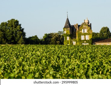 Vine-clad Chateaux Overlooking Vineyard In Bordeaux, France