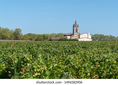 Vines From The Village Of Margaux In The Médoc