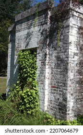 Vines And Weeds Covering Old Stone Building.