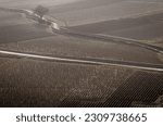 vineyard between Pernand Vergelesses and Aloxe Corton in winter in Burgundy