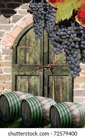 Vineyard in Chianti, Tuscany, Italy, famous landscape