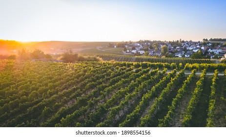 Vineyard Droneshot In Traisen (Germany)