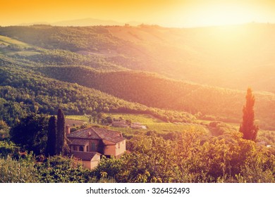 Vineyard and farm house, villa in Tuscany, Italy. Cypress trees. Sunset warm light