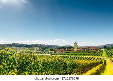 Vineyard of a farm at southern Brazil, Bento Gonçalves, with green grape trees in a valley above a full sun and shiny day - Shutterstock ID 1713278398