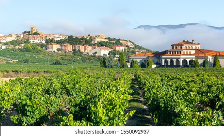 Vineyard With Laguardia Town As Background, Rioja Alavesa, Spain