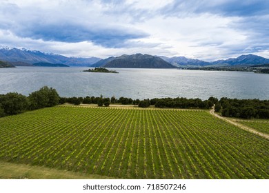 Vineyard At Lake Wanaka, New Zealand Panoramic Landscape From Aerial View Captured Above Wanaka City. Wanaka Is A Popular Resort Of New Zealand, And Is Much Used For Fishing, Boating And Wine Tasting.