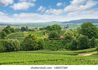 Vineyard Landscape, Montagne De Reims, France