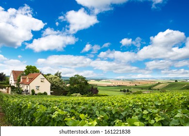 Vineyard landscape, Montagne de Reims, France - Powered by Shutterstock