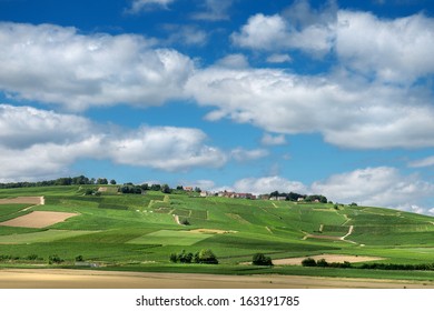 Vineyard Landscape, Montagne De Reims, France