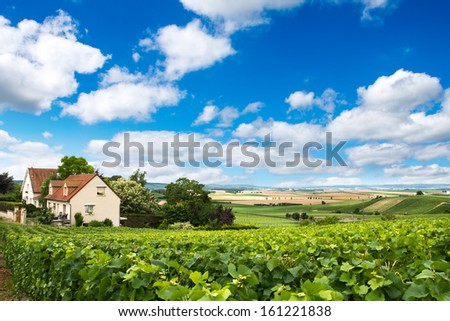 Vineyard landscape, Montagne de Reims, France