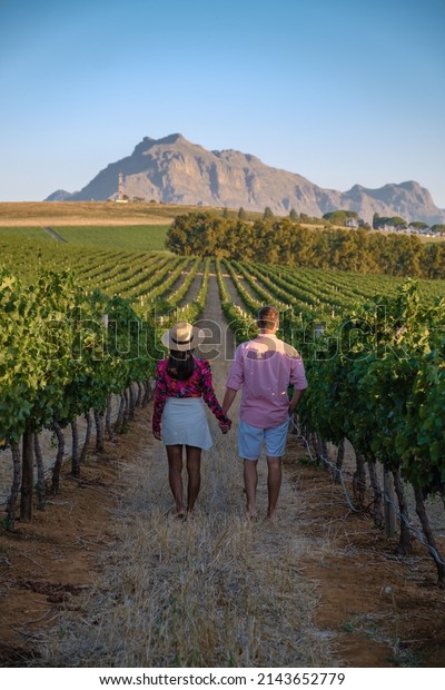 Vineyard landscape at sunset with mountains in\
Stellenbosch, near Cape Town, South Africa. wine grapes on the vine\
in vineyard, couple man and woman walking in Vineyard in\
Stellenbosch South\
Africa