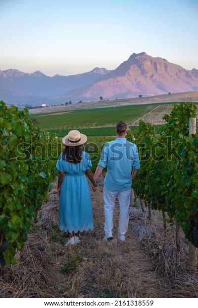 Vineyard landscape at sunset with mountains in\
Stellenbosch, near Cape Town, South Africa. wine grapes on the vine\
in a vineyard, couple man and woman walking in Vineyard in\
Stellenbosch South\
Africa