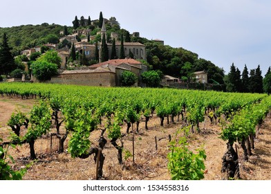 Ardèche Vineyard Near La Roque Sur Cèze, France