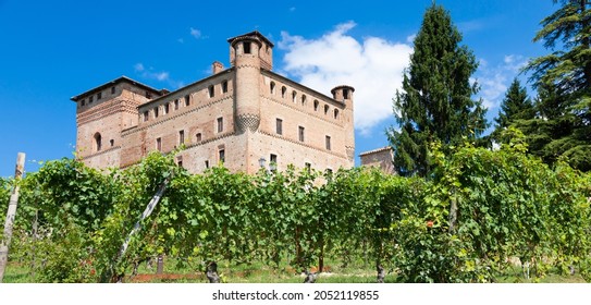 Vineyard in Piedmont Region, Italy, with Grinzane Cavour castle in the background. The Langhe is the wine district of Barolo wine.