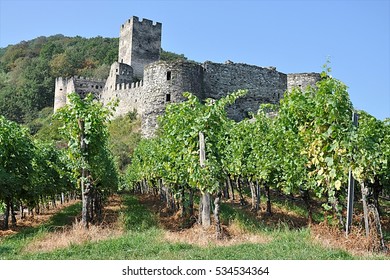 Vineyard And Ruins, Wachau, Austria, Europe