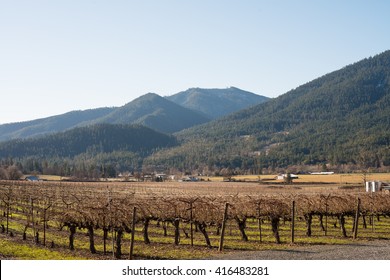 Vineyard In Southern Oregon - Rogue Valley