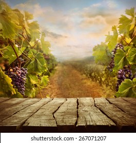 Vineyard tabletop design. Wine background. Autumn design with vineyard and empty display.  Autumn grapes harvest - Powered by Shutterstock