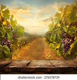 Vineyard tabletop design. Wine background. Autumn design with vineyard and empty display.  Autumn grapes harvest