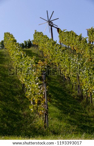 Similar – Tower in the vineyard Food