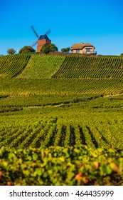 Vineyard And Windmill Champagne Region Near Vernezay France Europe